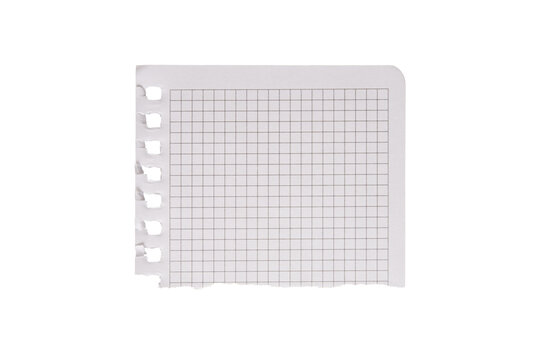 Torn square graph paper, ripped piece of notebook page in a cage isolated on transparent background.