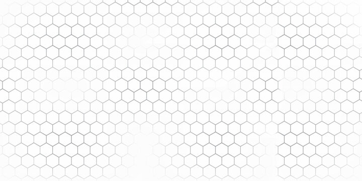 honeycomb line art honey bee hexagon outline pattern natural product organic background sweet. modern