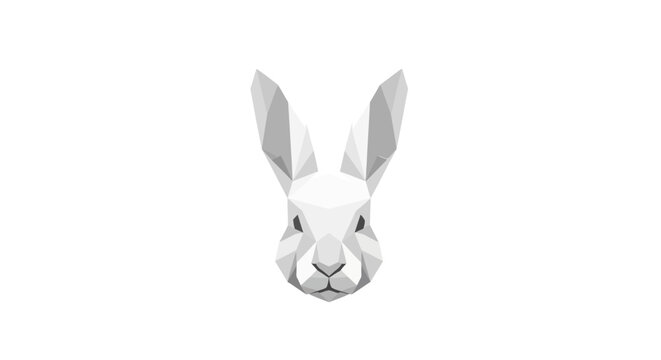 Rabbit Face Closeup White Animal.