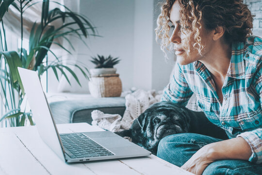 Woman working on laptop at home with her pug on the couch, remote work in a cozy living room with indoor plants