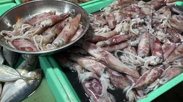 fresh fish in a market