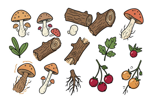 Items that express the natural forest, such as mushrooms, fruits, trees, roots, etc