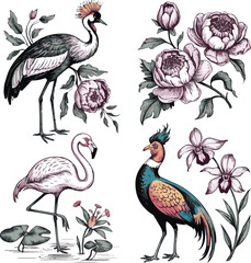 Naklejka premium Isolated on Vintage engrave Crowned Crane and peonies, flamingo and water lily, pheasant and orchid vector art on white background