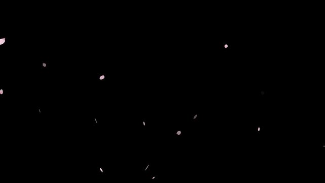 Pink cherry blossom petals falling gracefully on transparent background.
Fall start to end and loop Animation.Easy to use and change color. This work has alpha.Spring animation(4K).