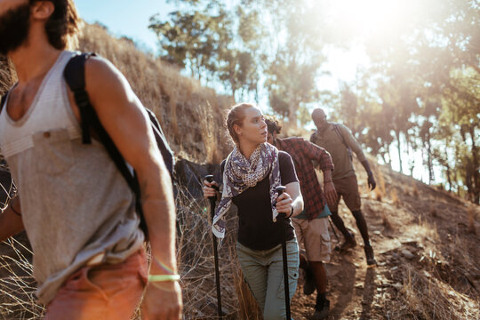 Group of friends hiking up sunny forest trail