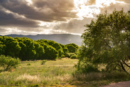 Dramatic clouds over the landscape of Dead Horse Ranch State Park, Arizona
