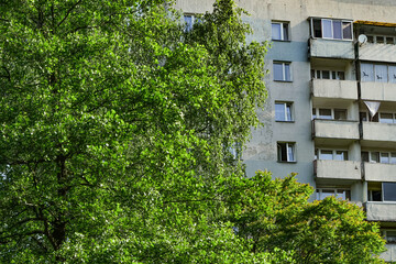 Apartment building partially hidden by lush green trees in an urban neighborhood. Contrast between residential architecture and vegetation highlights urban nature and city living © Maciej Bonk