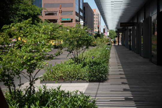 City greening project at 1st and Van Buren in Phoenix Arizona