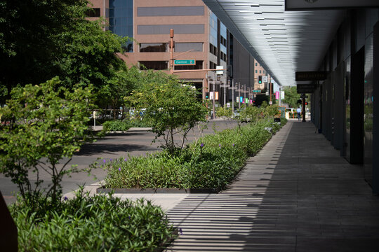 City greening project at 1st and Van Buren in Phoenix Arizona
