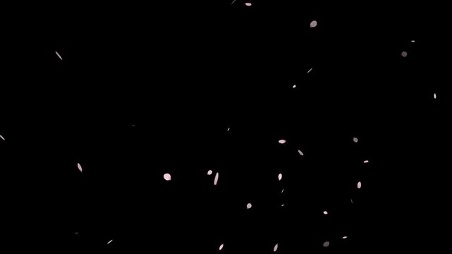 Pink cherry blossom petals falling gracefully on transparent background.
Fall start to end and loop Animation.Easy to use and change color. This work has alpha.Spring animation(4K).