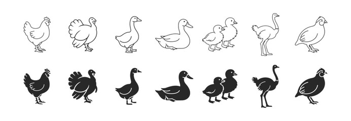 Poultry bird icon set with chicken rooster duck goose turkey ostrich and swan © Виталий Опришко