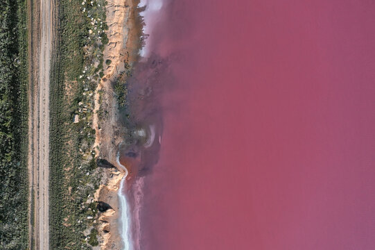 Aerial view of the vibrant pink waters of Syvash lake meeting a sandy shoreline and a dirt road in Novotroitskyi district, Kherson Oblast, Ukraine.