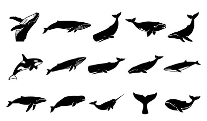 Black and white whale silhouette vector set with marine ocean mammals isolated on white background © abdul