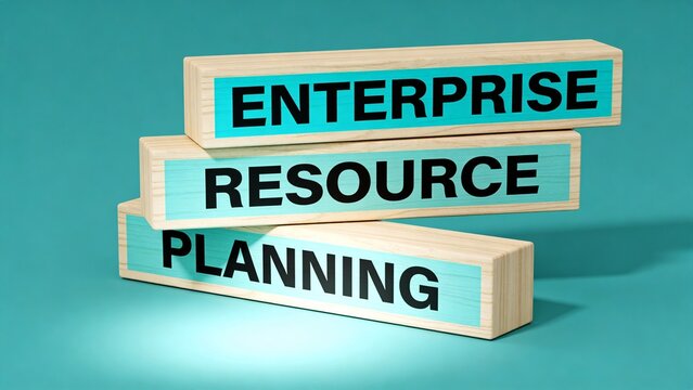 Enterprise Resource Planning (ERP) Software Implementation and Business Management Solutions