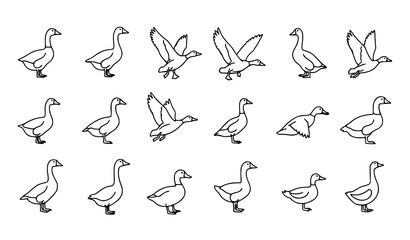 Minimal goose and duck line art set modern bird outline vector collection eps10 © MST