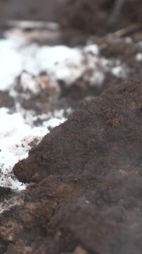 Fine Dust Rises Over Cold Snowcovered Ground. Dark Soil Emits Fine Particles After Impact Near Snow . Stock clip