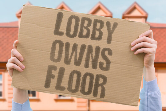 "Lobby owns floor" Interest groups control legislative chamber. CORPORATE. LOBBY. SENATOR. CAPTURE. POWER.