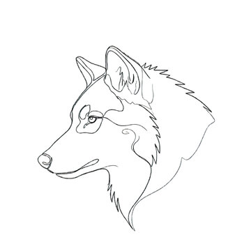 Line drawing of a wolf's head in profile