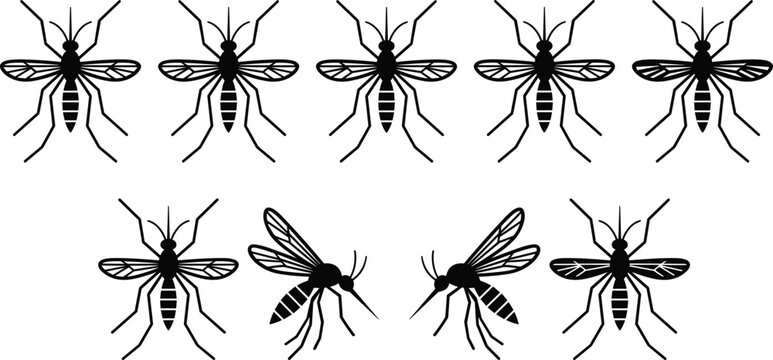 Mosquito silhouettes collection featuring top view and side profile insect graphics for pest control and health awareness designs