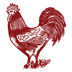 Intricate hand drawn rooster illustration with detailed feathers and proud posture in vintage engraving Vector Illustrations © MdRaihan