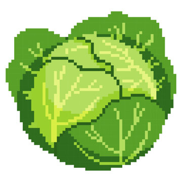 Pixel Art Cabbage - Pixel Art Sample 1024 x 1024