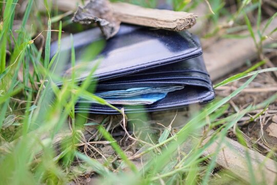 Concept of losing money or personal belongings dropped in an open plantation area.