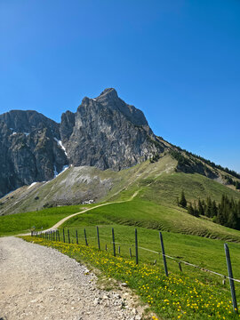 Germany, Inviting Mountain Trail Leading Toward Aggenstein Peak Through Open Alpine Landscapes And Green Forests