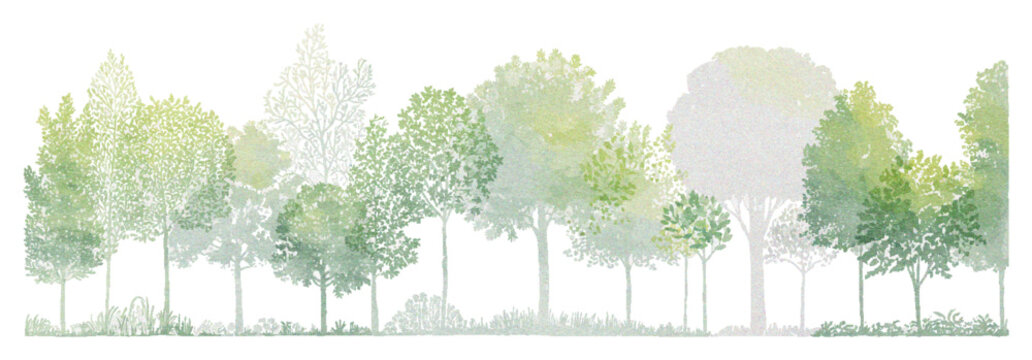 Architectural CAD Tree Line Drawing Set with Minimal Side View Forest Section Symbols for Landscape Design, Planning and Vector Illustration