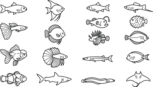 Various fish species line art icon set featuring tropical aquarium fishes and deep sea marine life vector illustration