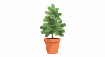 Obraz premium Small evergreen tree in a terracotta pot