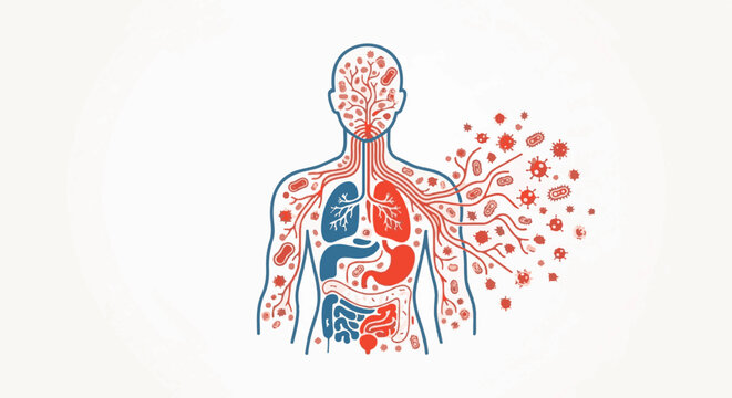 Diagram of human body with internal organs and invading viruses or bacteria