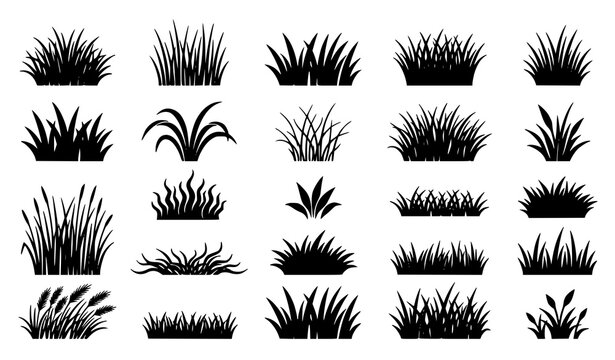 Black Lawn Grass Silhouette Vector Icon Set Collection of Organic Nature Plant Elements