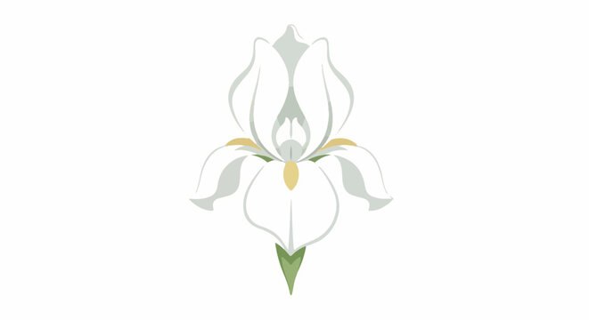 Minimalist illustration of a white iris flower with muted green and yellow accents