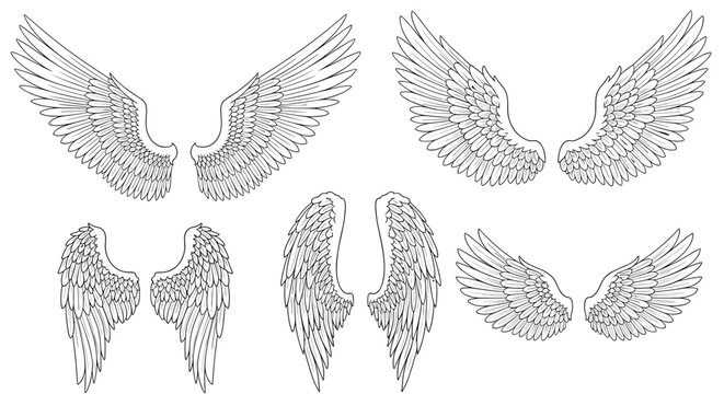 Detailed set of various bird or angel wings in different poses, rendered as fine line drawings for spiritual or fantasy designs.