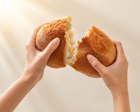 Hands Pulling Apart Fresh Round Bread Roll Showing Soft Crumb