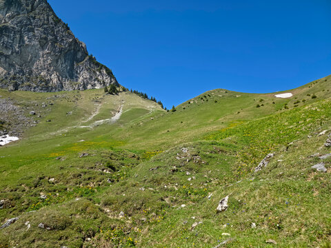 Germany, Rolling alpine pastures beneath Aggenstein create an idyllic summer landscape filled with natural beauty