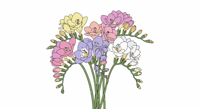 A vibrant bouquet of colorful freesia flowers with green stems