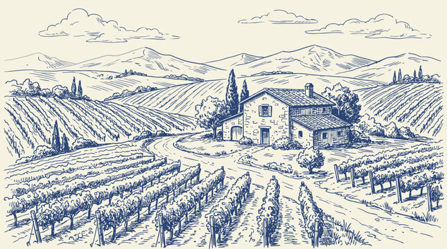 Rustic vineyard landscape with traditional farmhouse in vintage engraving sketch style vector illustration depicting a rural winery estate with rolling hills and agricultural fields