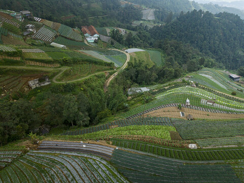 Aerial view of Nepal Van Java with lush green agricultural terraces and winding mountain roads on the slopes of Mount Sumbing in Kecamatan Kaliangkrik, Jawa Tengah, Indonesia.