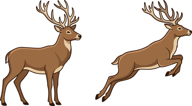 Red deer buck stag cartoon vector illustration set featuring standing wild animal with large antlers and jumping dynamic pose isolated on white background