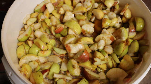 Sliced ​​yellow and red apples in a white plastic bucket, making homemade juice, puree, or alcohol from the apple harvest, preparing an apple ingredient for infusing a drink at home