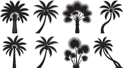 Obraz premium Collection of Palm Tree Silhouettes Vector Set Isolated on White