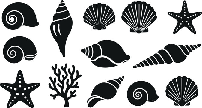 Sea shells and starfish black silhouette icon set featuring scallop conch marine snails and reef coral reef shapes vector