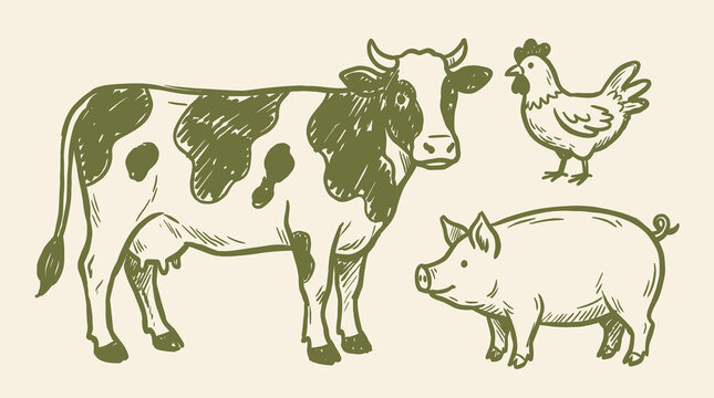 Hand-drawn rustic farm animal doodle sketch collection featuring a domestic cow, spotted pig, and clucking chicken, minimalist black and white vector line art for organic agricultural design.
