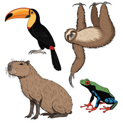 Fototapeta premium Tropical Rainforest Exotic Wildlife Vector Sticker Set