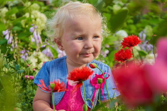 Portrait of a little blond girl among bright flowers in the summer garden. Cute blond girl with blue eyes stands in a lush blooming garden against the background of bright red poppies