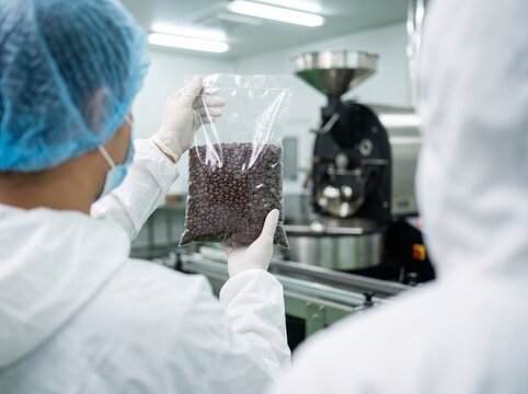 Inspetor de controle de qualidade em uniforme est&eacute;ril examinando uma amostra de gr&atilde;os de caf&eacute; torrados em uma f&aacute;brica de processamento de alimentos