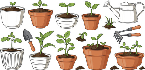 Fototapeta premium Potted Seedlings and Gardening Essentials Collection with Young Plants Watering Can Hand Tools and Home Garden Care Vector Illustration Set