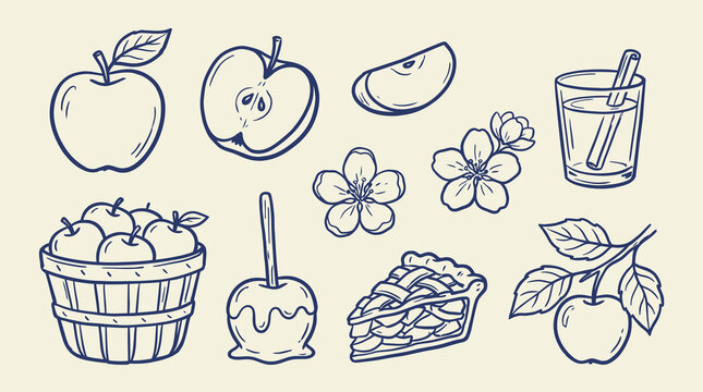 Minimalist sketch of a diverse apple set featuring organic fruit outlines, garden harvest icons, and vintage botanical vector illustrations for cider packaging or healthy food design.