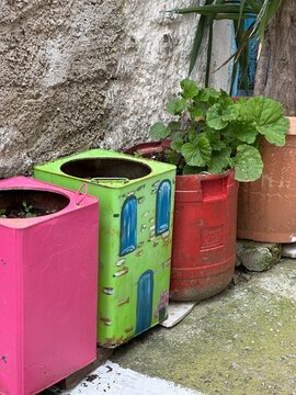 Colorful plant pots arranged beside a wall in an outdoor garden setting in a small town or neighborhood